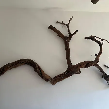 Appartement Aloni G&a Archaggelos *