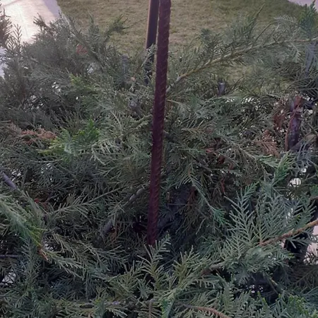 شقة Aloni G&a Archaggelos *