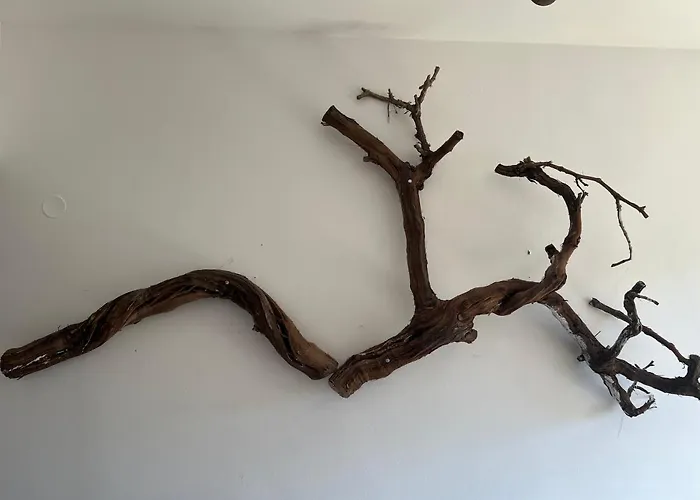 Lejlighed Aloni G&a Archaggelos *