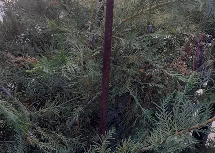 Lejlighed Aloni G&a Archaggelos *